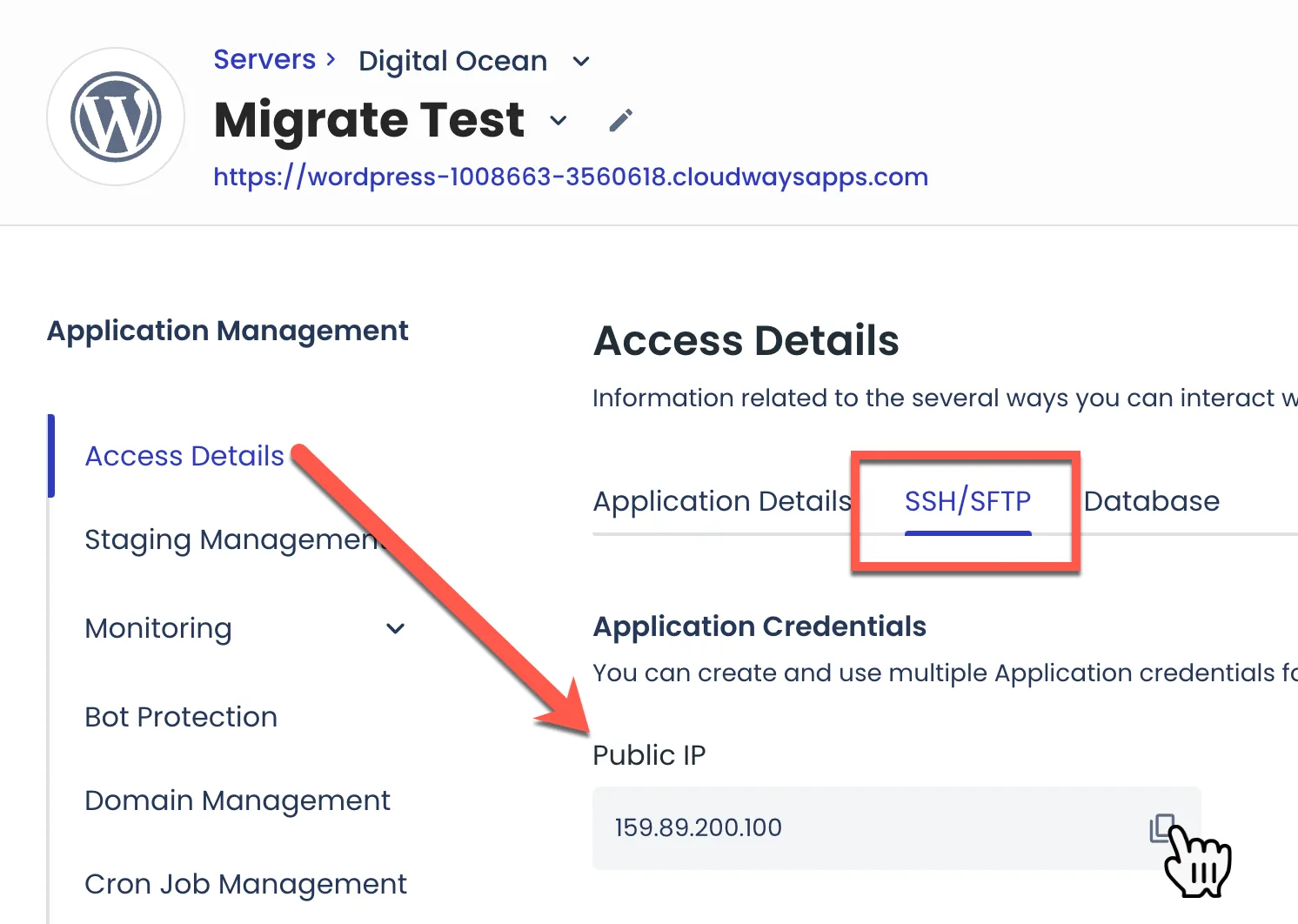 IP Public server Cloudways