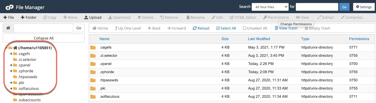 Struktur root folder dan sub-folder di File Manager cPanel